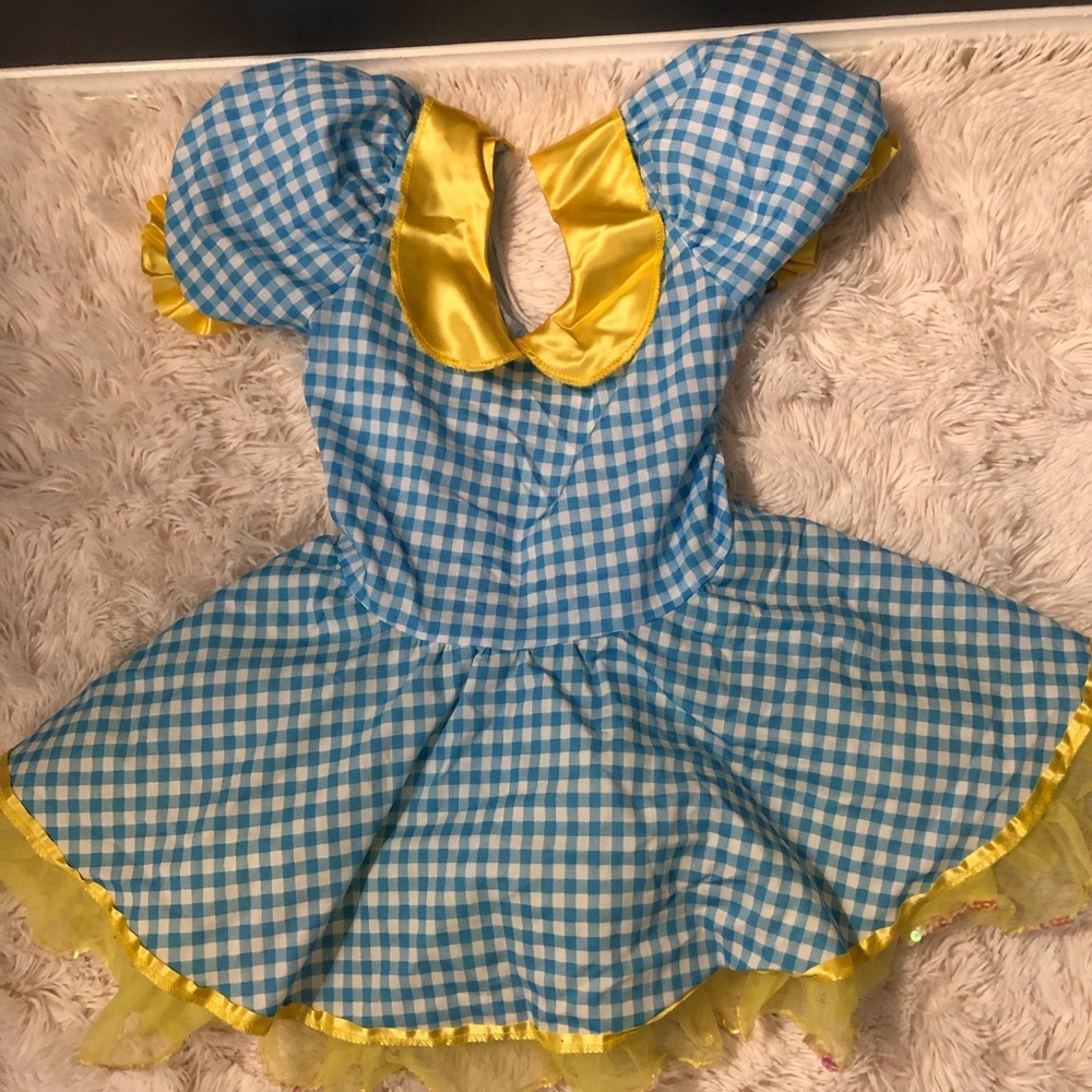 Dance/Princess Costumes for Young Girl